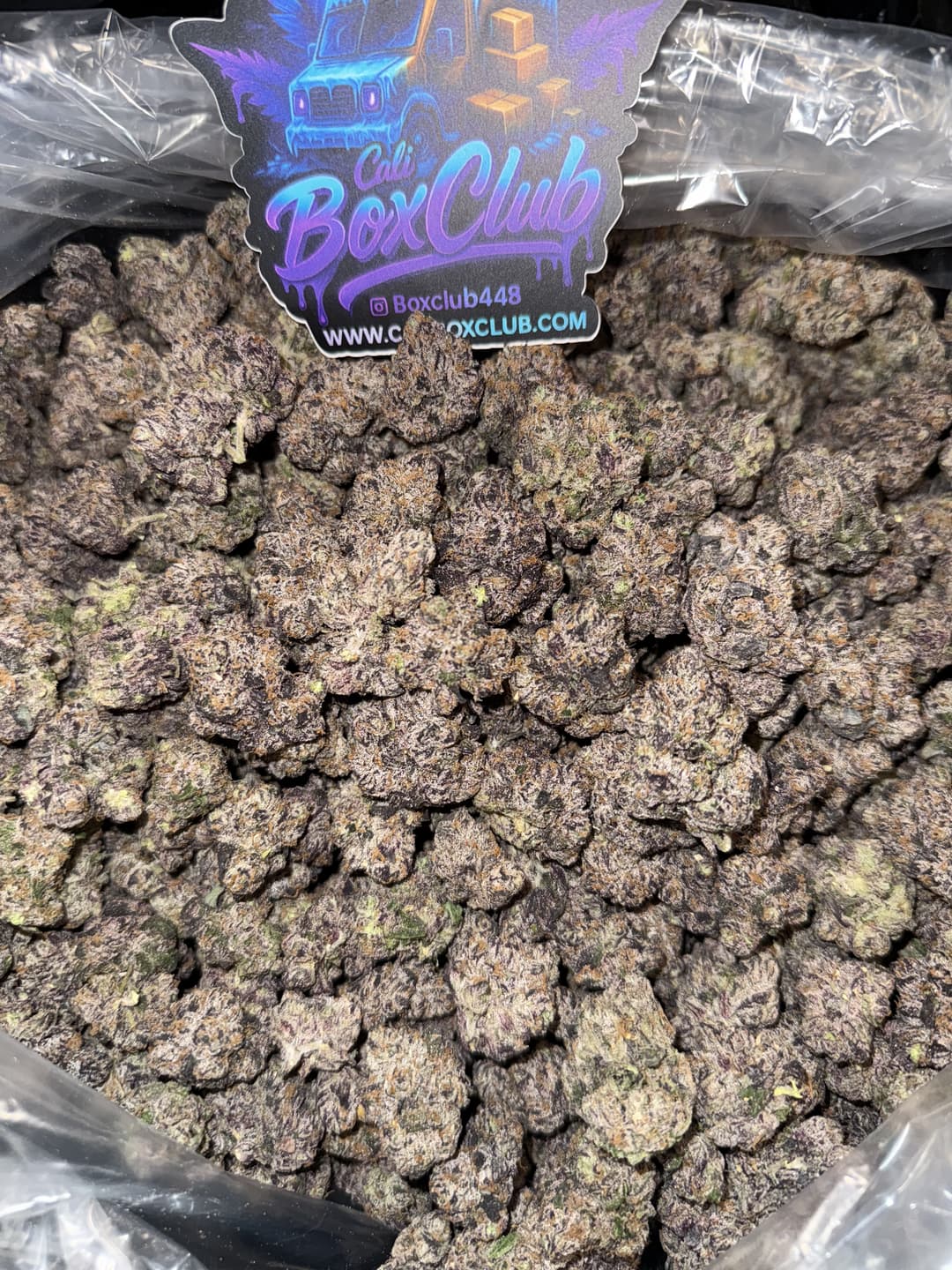 LutZy - Purple Gusher - Image 1