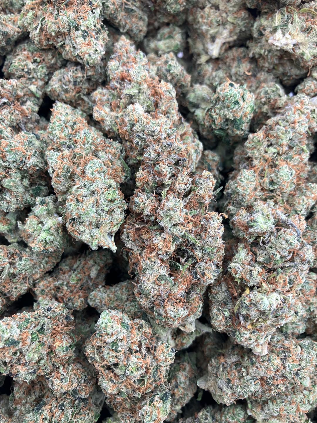 Super Lemon Haze