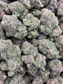 Pink Runtz thumbnail 1