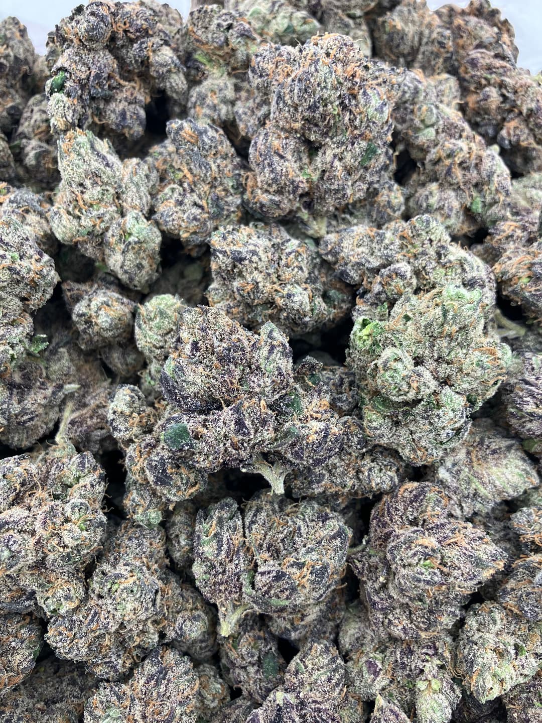 Dolce Gelato