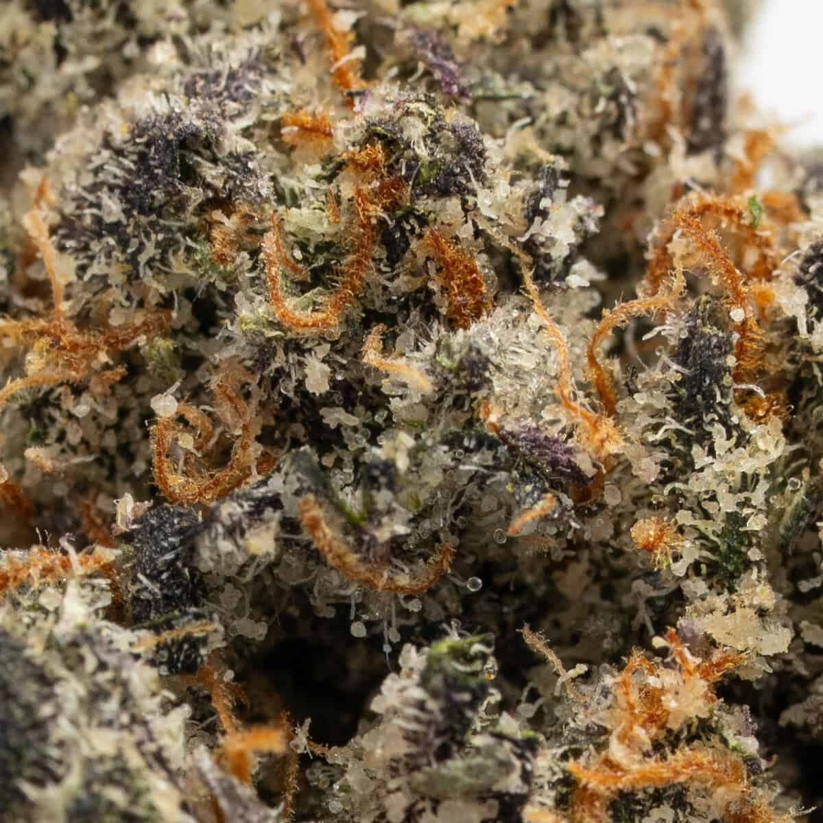 This is a title This is a title