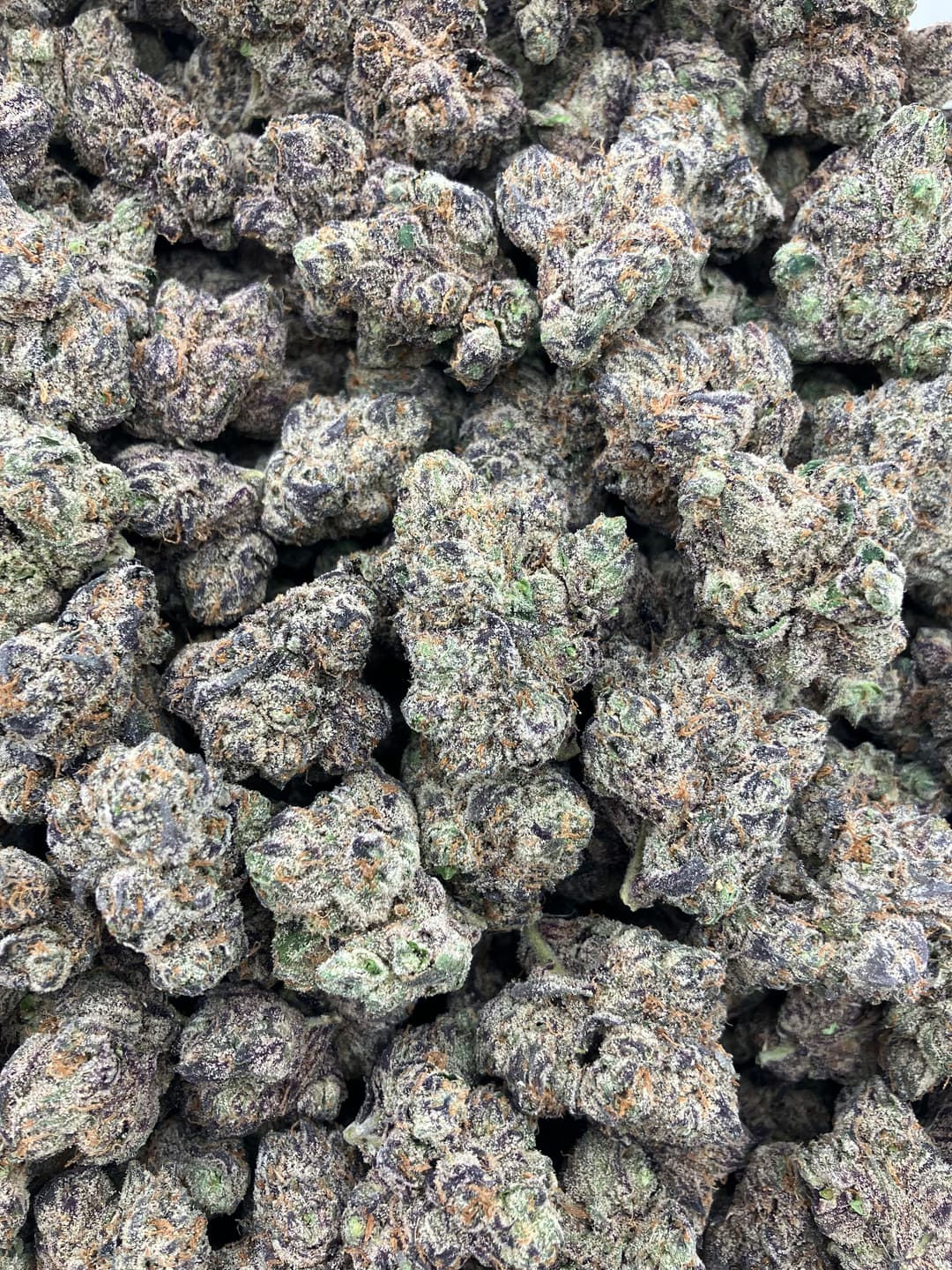 Pink Nerdz - Image 1