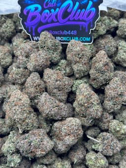 LGB01 - Mochi Cream  thumbnail 1