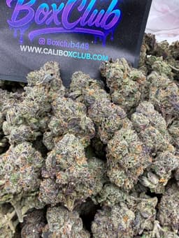 SS32 - Blue Jam thumbnail 1