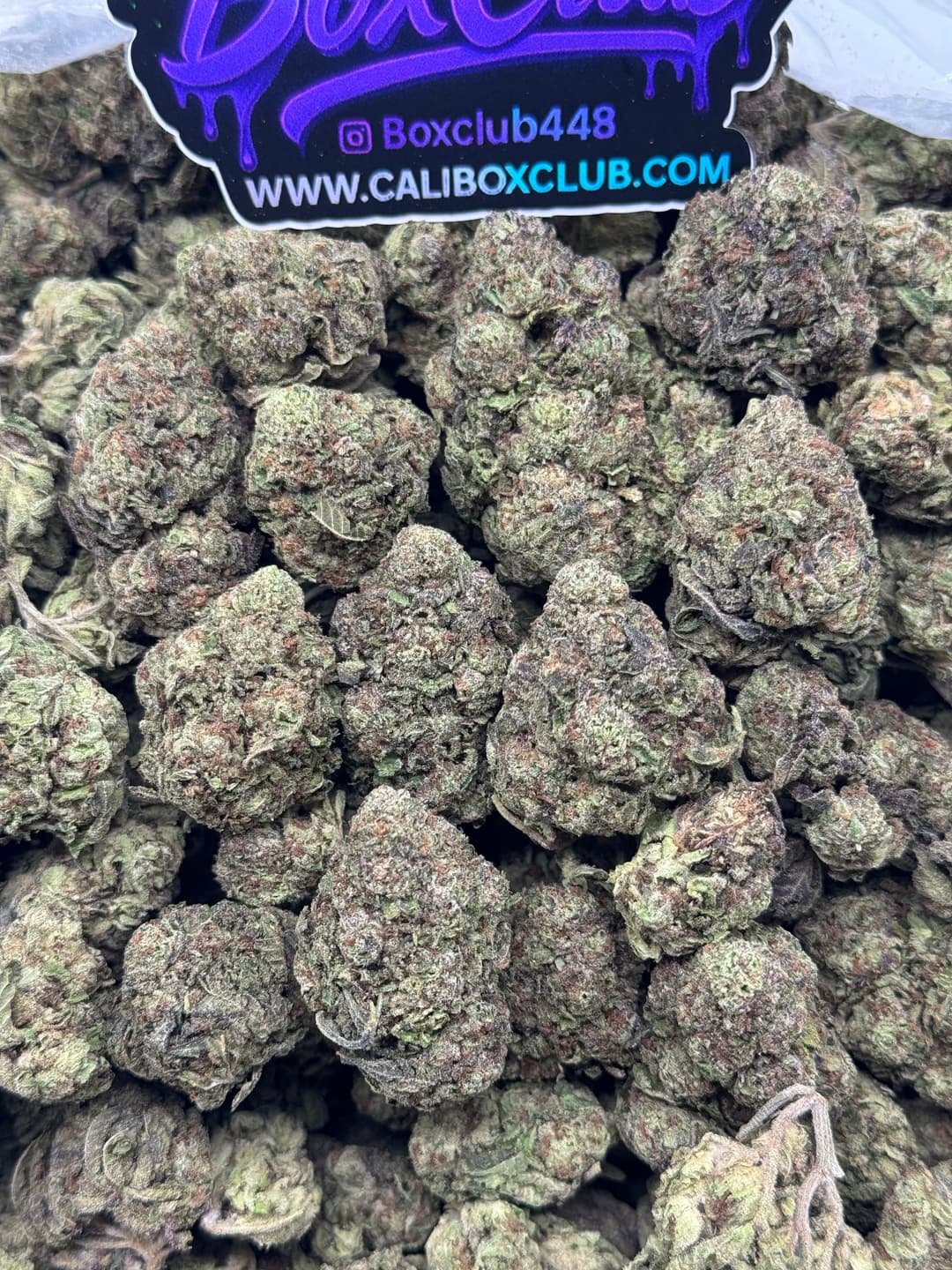 TL013 - Lemon Cherry Gelato 