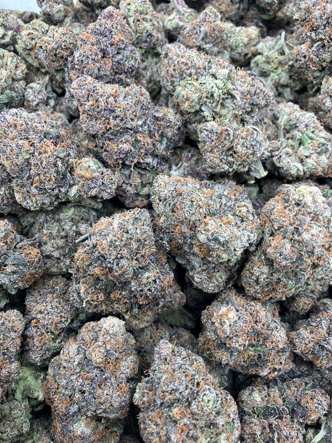 Lemon Cherry Gelato