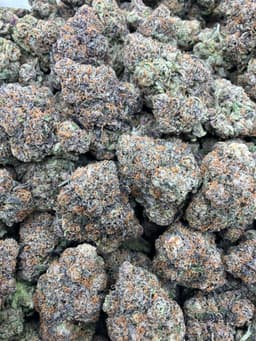 Lemon Cherry Gelato thumbnail 1