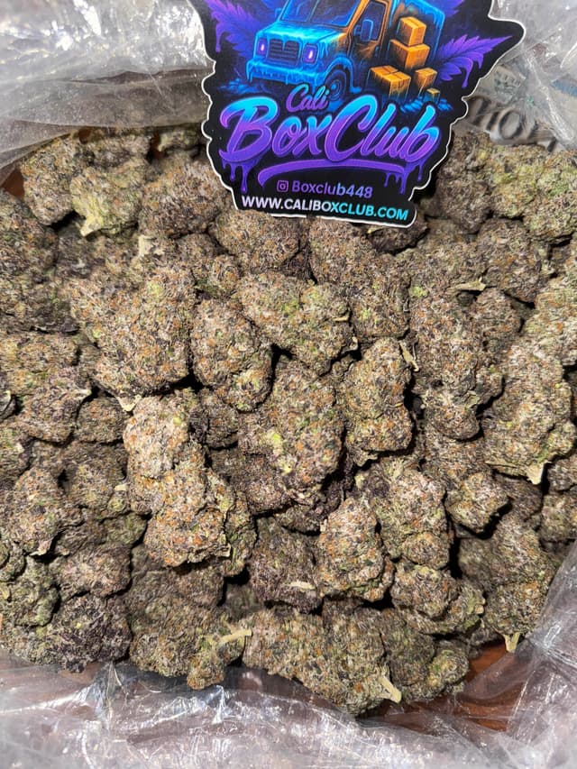 AA001 - Gusher Bliss (Hybrid)