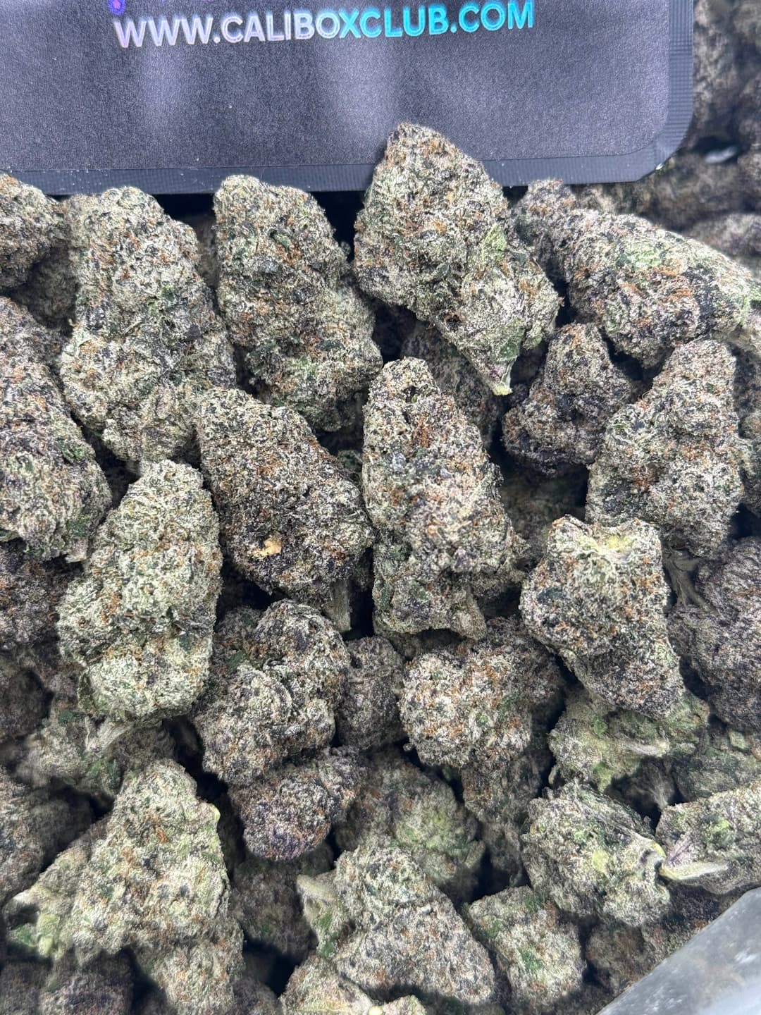 LT - Rainbow Gushers