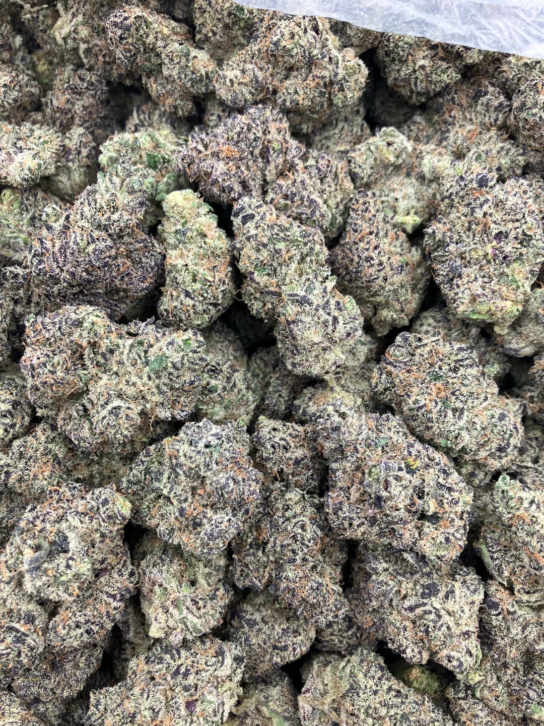 Blueberry Sherbert - Image 1