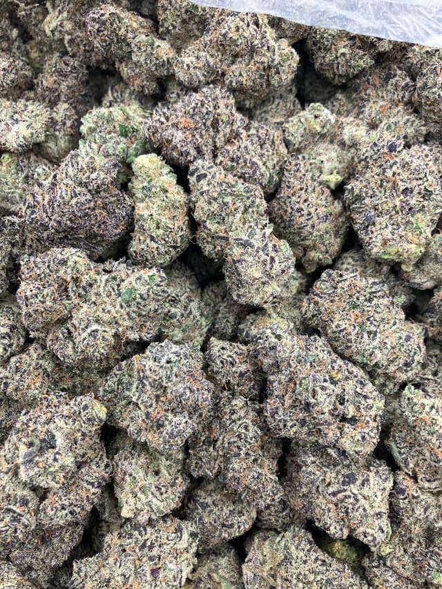 Blueberry Sherbert