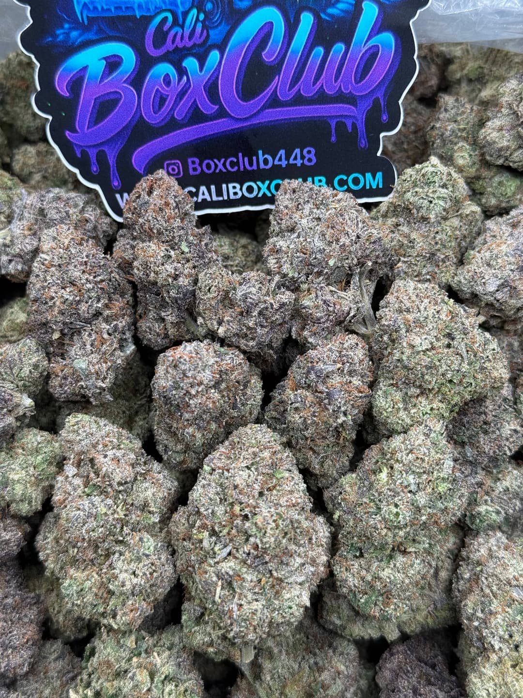 AA14 - White BubbleGum