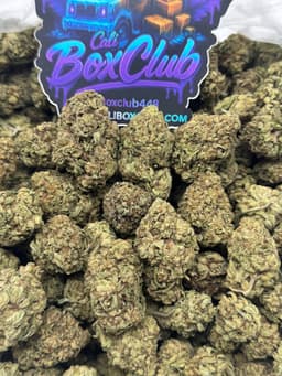 TT002 - Apple Fritter  thumbnail 1