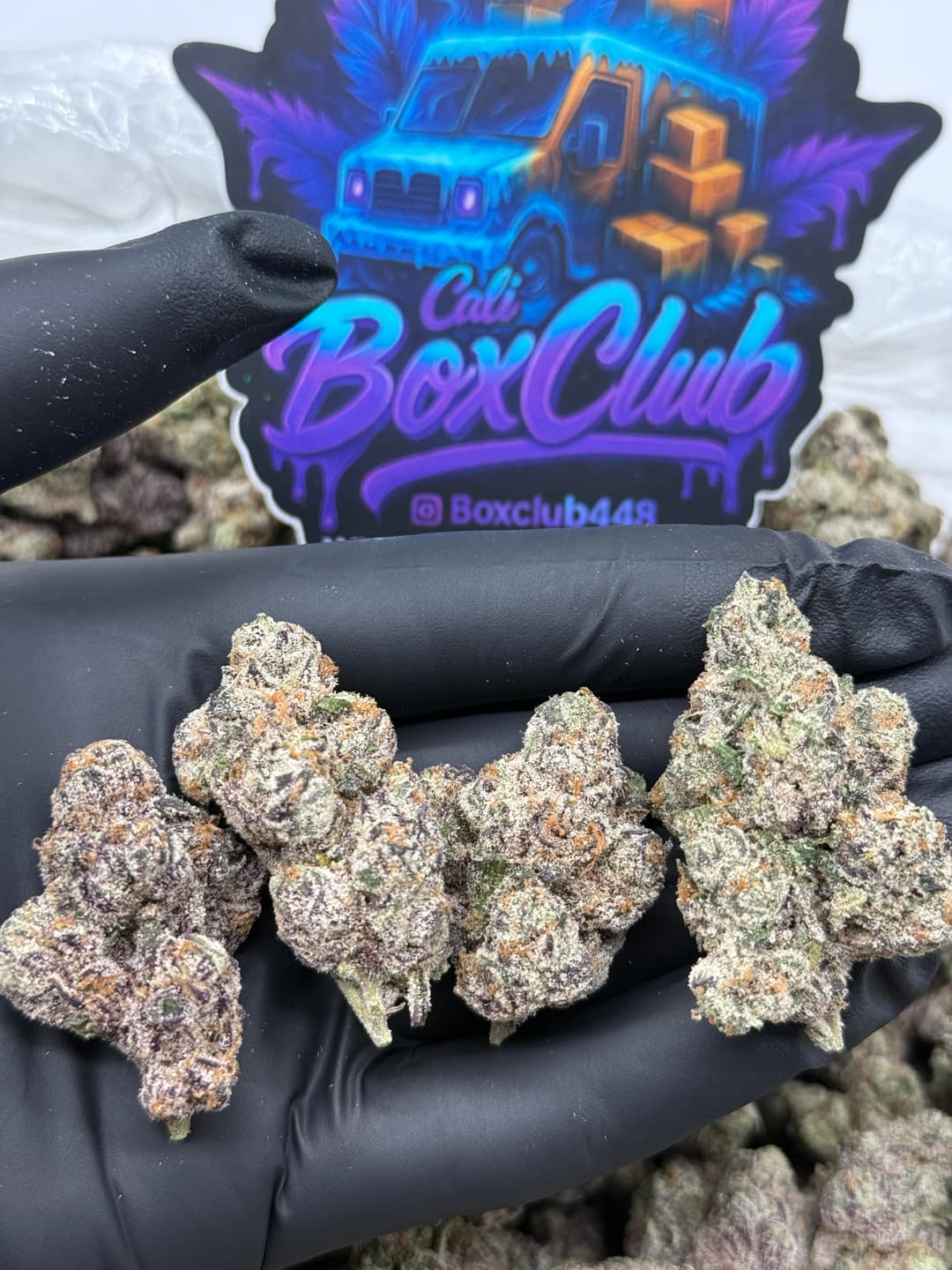 LutZy - Lemon Cherry Gelato 