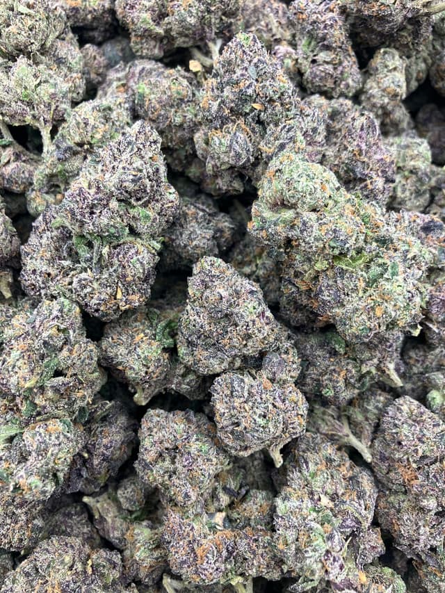  Canvas Candy