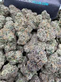 SS25 - Pistachio Runtz thumbnail 1