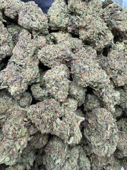 P01 - Space Runtz thumbnail 1