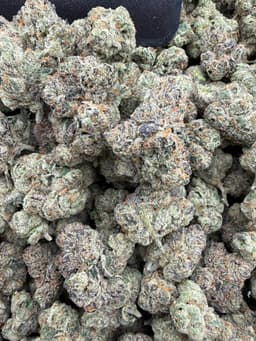 SS21 - Gelato Lemons thumbnail 1