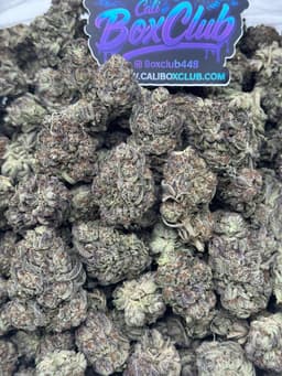 TT001 - Gelato  thumbnail 1