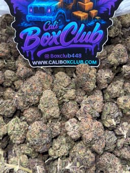 JJ13 - Candy Crush  thumbnail 1