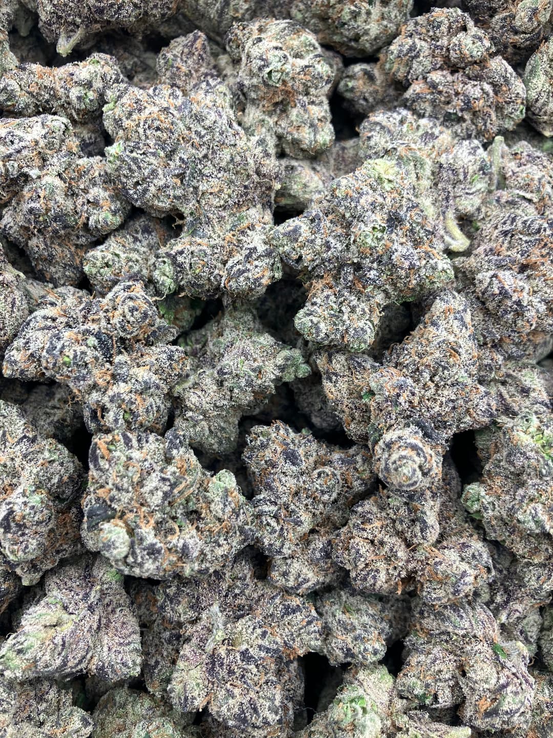 Super Lemon Cherry - Image 1