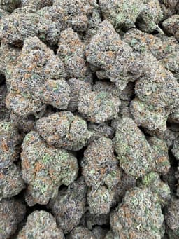 LL01 - Gelato Candy thumbnail 1