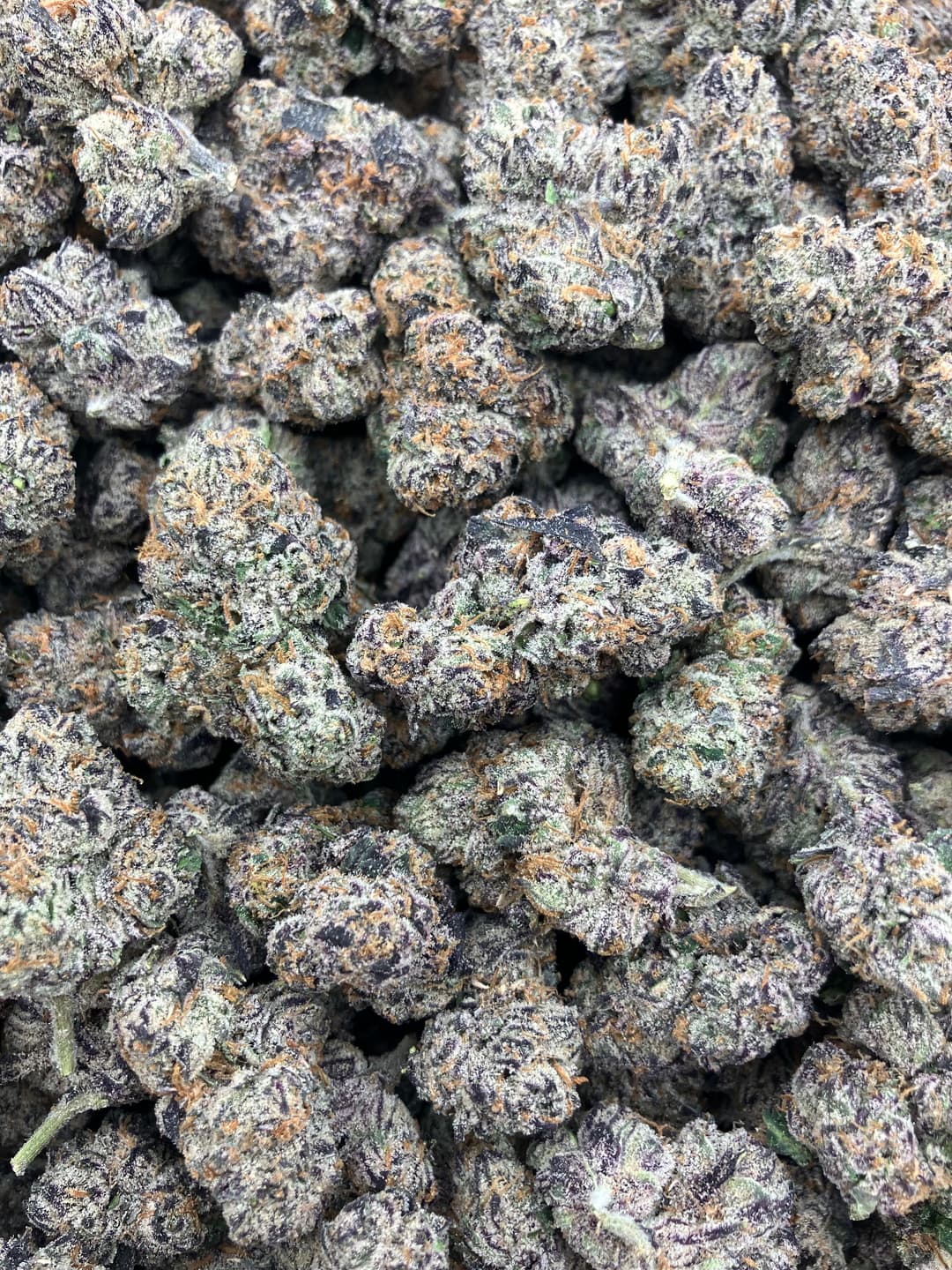 Purple Slushiez