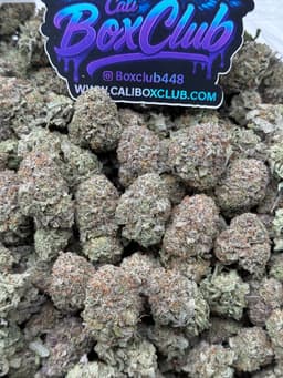 TT30 - Platinum Bubba thumbnail 1