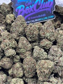 TL011 - Zoap  thumbnail 1