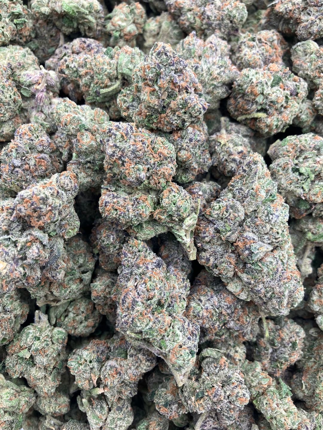 Candy Land