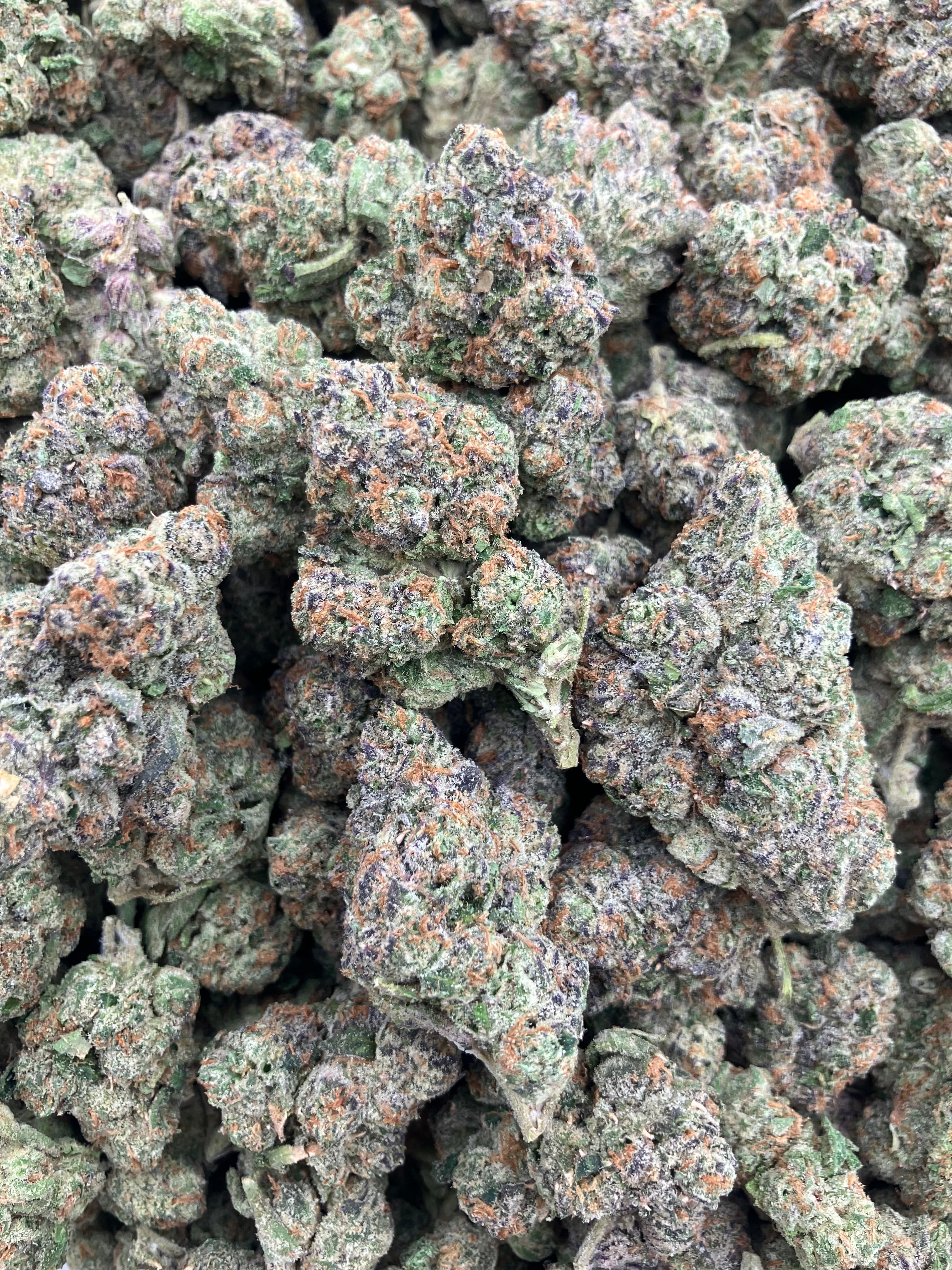 Candy Land
