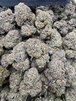 SS35 - N LCG thumbnail 1