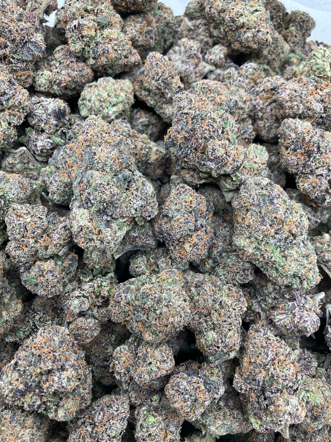 Gelato Candy X