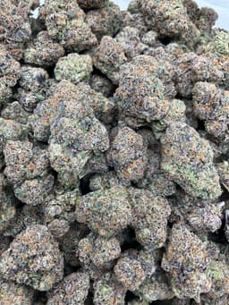 Gelato Candy X thumbnail 1