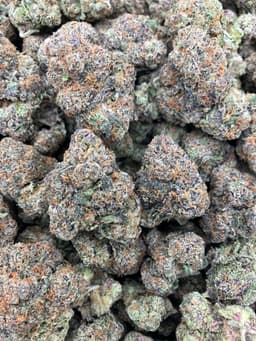 Bubblegum thumbnail 1