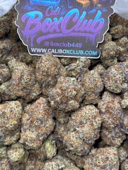 JJ15 - Bacci OG thumbnail 1