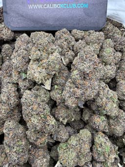 SS27 - Green Slushy thumbnail 1