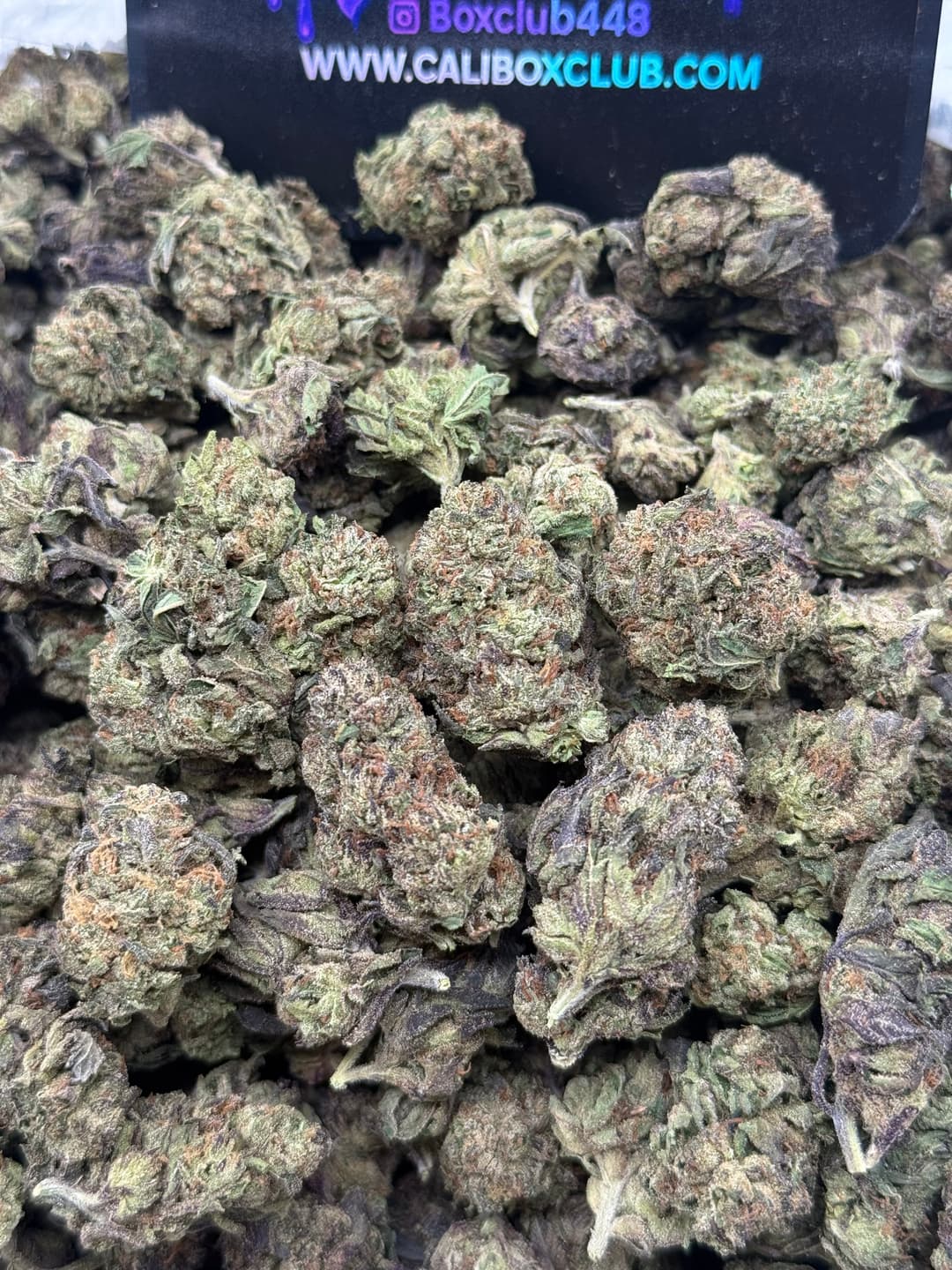 TT002 - Apple Fritter - Image 1